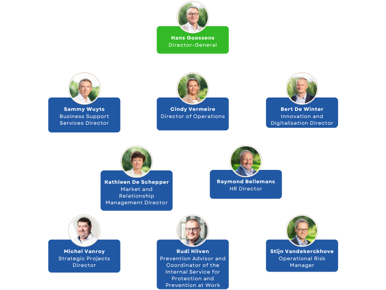 The executive team